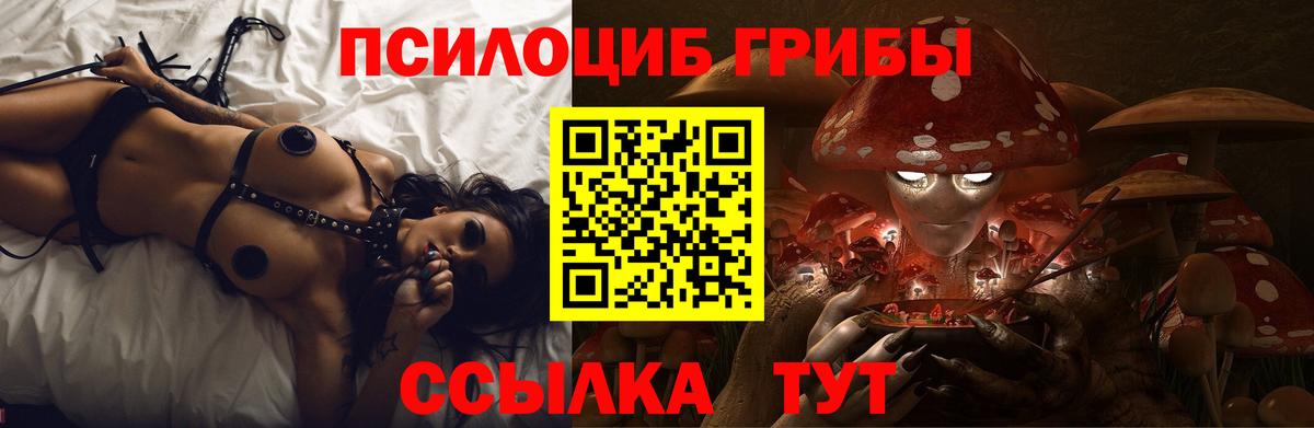 Сатка  Псилоцибиновые грибы ЛСД  Вход с VPN  Галлюциногенные грибы Psilocybine cubensis 